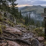 Col du bonhomme vosges randonnée : sentier en forêt vosgienne et balisage