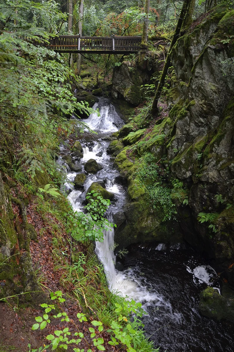 La cascade du Gehard dans son vallon forestier.