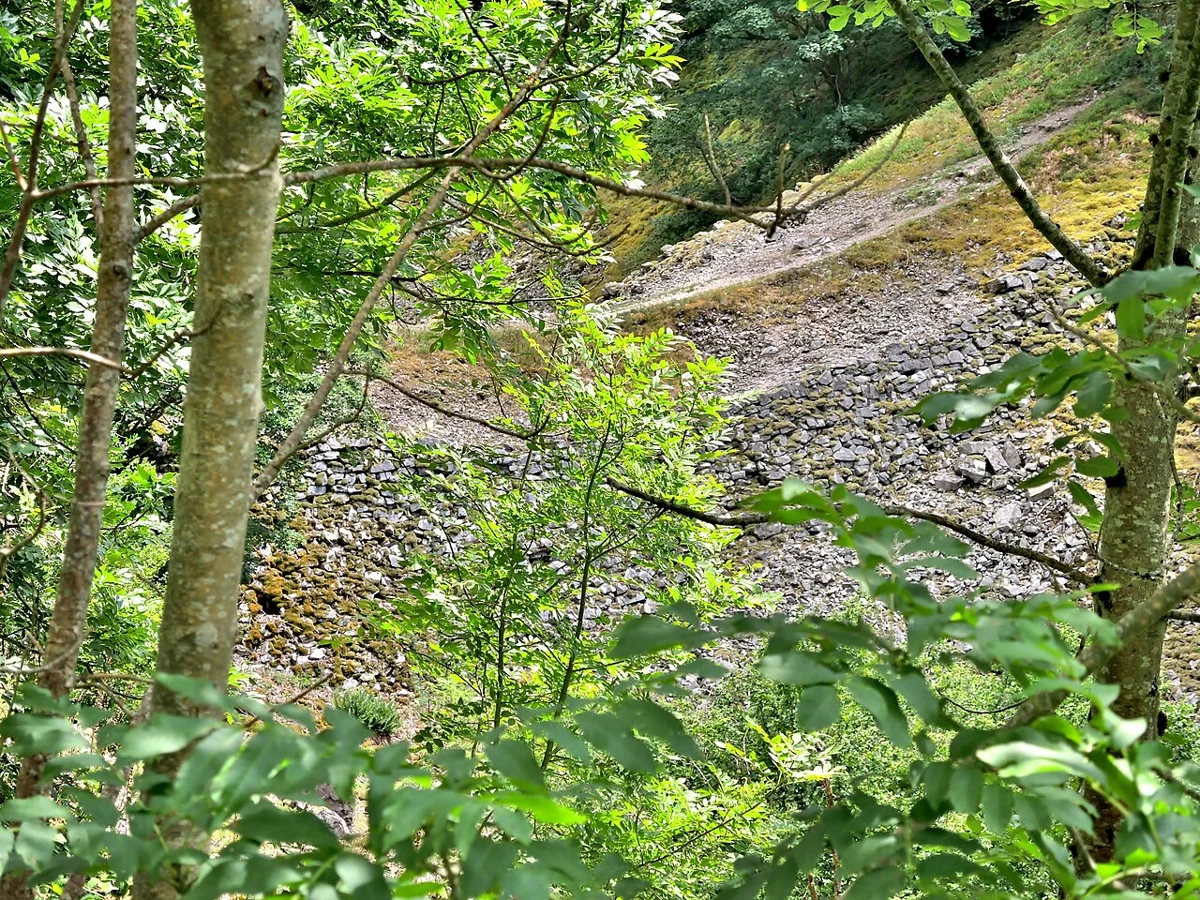 Le pont des Fées vu depuis la piste forestière, en 2017. Le passage sur l’ouvrage est aujourd’hui interdit.