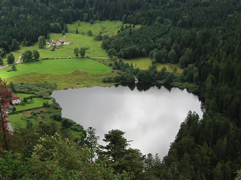 Le lac de Retournemer entouré de forêt.